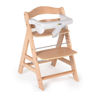 Preview: Hauck ALPHA TRAY