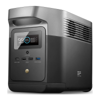 Preview: EcoFlow DELTA mini