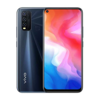 Preview: Vivo 1935