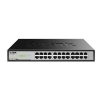 Preview: D-Link DGS-1024C