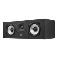 Preview: Polk Mono Monitor XT15