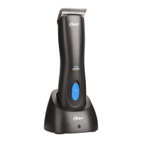 Preview: Oster Pro3000i