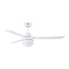 Fan Logo