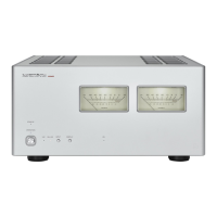 Preview: Luxman M-900u