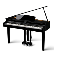 Preview: Kawai DG30