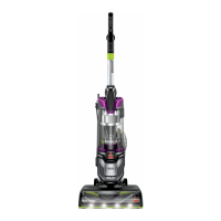 Preview: Bissell 2920