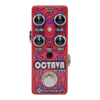 Preview: pigtronix OCTAVA
