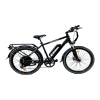Bicycle Logo