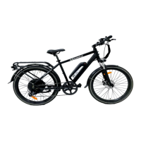Preview: GoPowerBike GoEagle