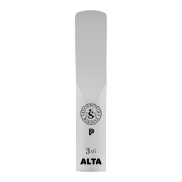 Preview: Silverstein ALTA AMBIPOLY