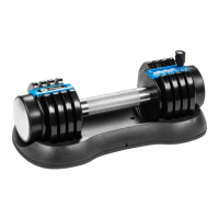 Preview: Lifepro POWERFLOW