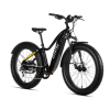 Bicycle Logo