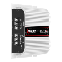 Preview: Taramps DS 250x2