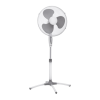 Fan Logo