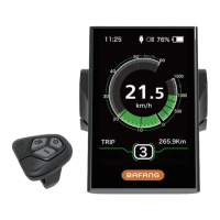 Preview: BAFANG M300
