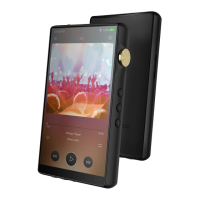 Preview: iBasso Audio DX240