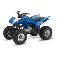 Preview: Honda Sportrax TRX250X 2019