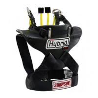 Preview: Simpson Hybrid