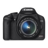 Preview: Canon EOS 450D