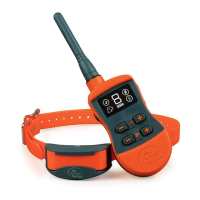 Preview: SportDOG SportTrainer 875