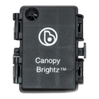 Preview: Brightz Canopy