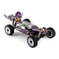 Preview: WLtoys 124019