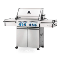 Preview: Napoleon Prestige Pro Series