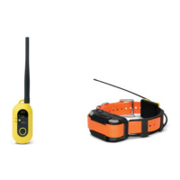 Preview: Dogtra PATHFINDER2
