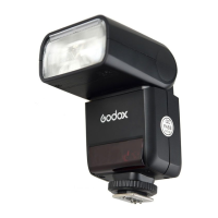 Preview: Godox Thinklite TT350O