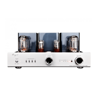 Preview: Cayin CS-88A
