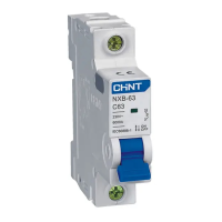 Preview: CHINT NXB-63