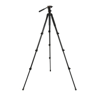 Preview: Celestron Regal Tripod