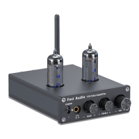 Preview: Fosi Audio T20