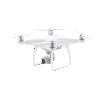 Preview: dji PHANTOM 4 Series