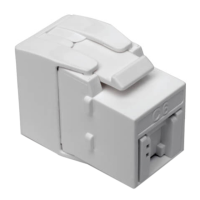 Preview: Tripp Lite Cat6