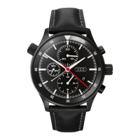 Preview: Sinn Audi