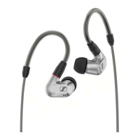 Preview: Sennheiser IE 900