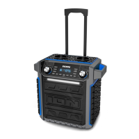 Preview: ION Pickup