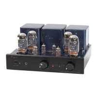 Preview: Cayin CS-55A