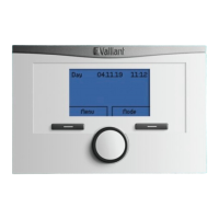 Preview: Vaillant timeSWITCH 160