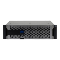 Preview: NetApp AFF A300