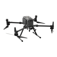 Preview: dji M300