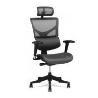 Preview: X-CHAIR X-HMT