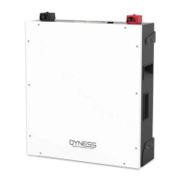 Preview: Dyness A48100