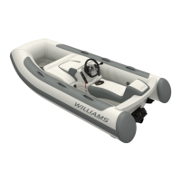 Preview: Williams Minijet