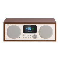 Preview: Blaupunkt IR10BT