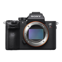 Preview: Sony A7RIII ILCE-7RM3A
