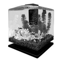 Preview: Tetra GloFish