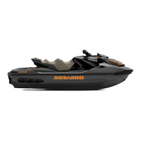 Preview: SeaDoo GTX+
