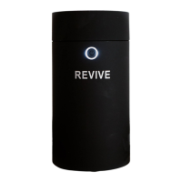 Preview: ReVIVE Pebble